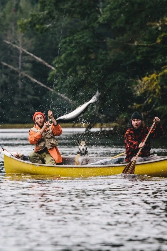 Pesca de truchas arcoíris en la Patagonia