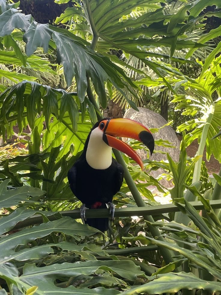 Iguazú & Litoral