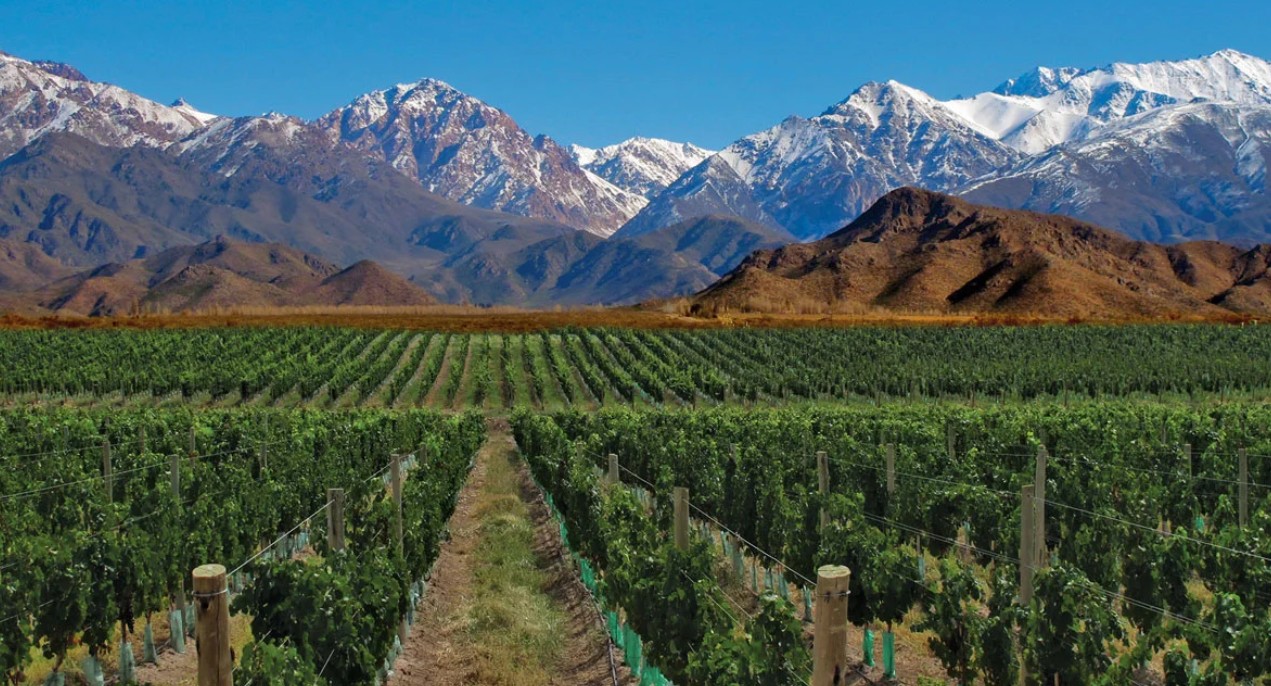 Mendoza & Wine
